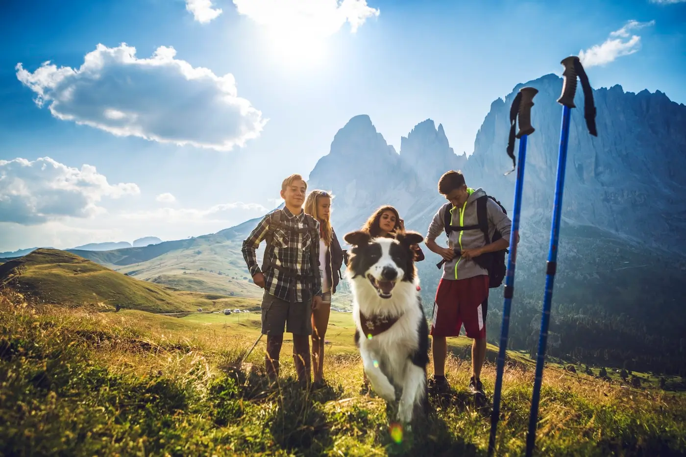 Partir en randonnée avec son chien : les bons réflexes
