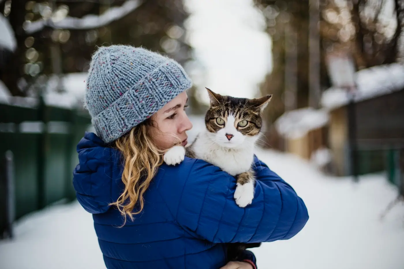 Partir en vacances à la montagne avec votre chat : les bons gestes